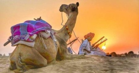 RAJASTHAN TOUR  JAISALMER - THAR DESERT TOUR 02 NIGHT 03 DAYS